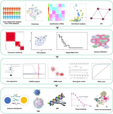 An inflammation-related gene landscape predicts prognosis and response to immunotherapy in virus-associated hepatocellular carcinoma